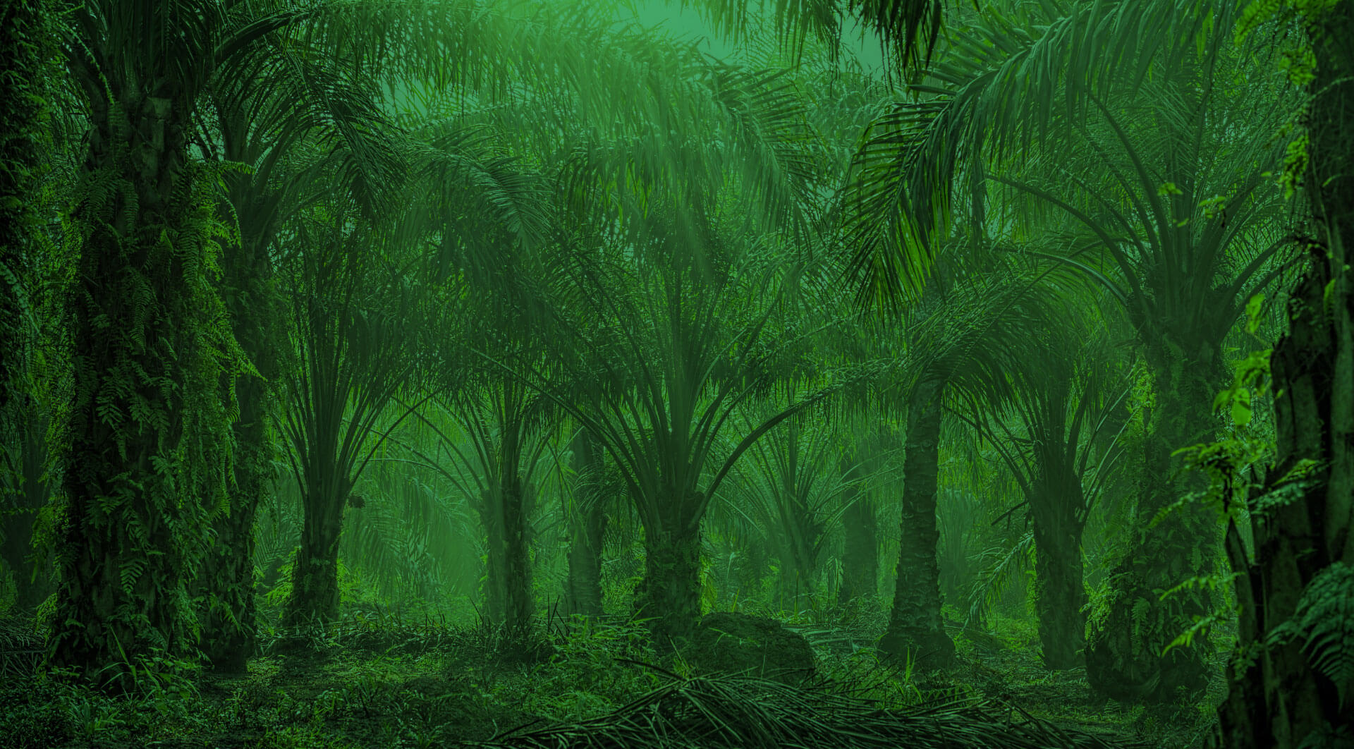 [Live Webinar] Issues And Challenges Of Biodiversity Conservation In The Palm Oil Industry In Malaysia