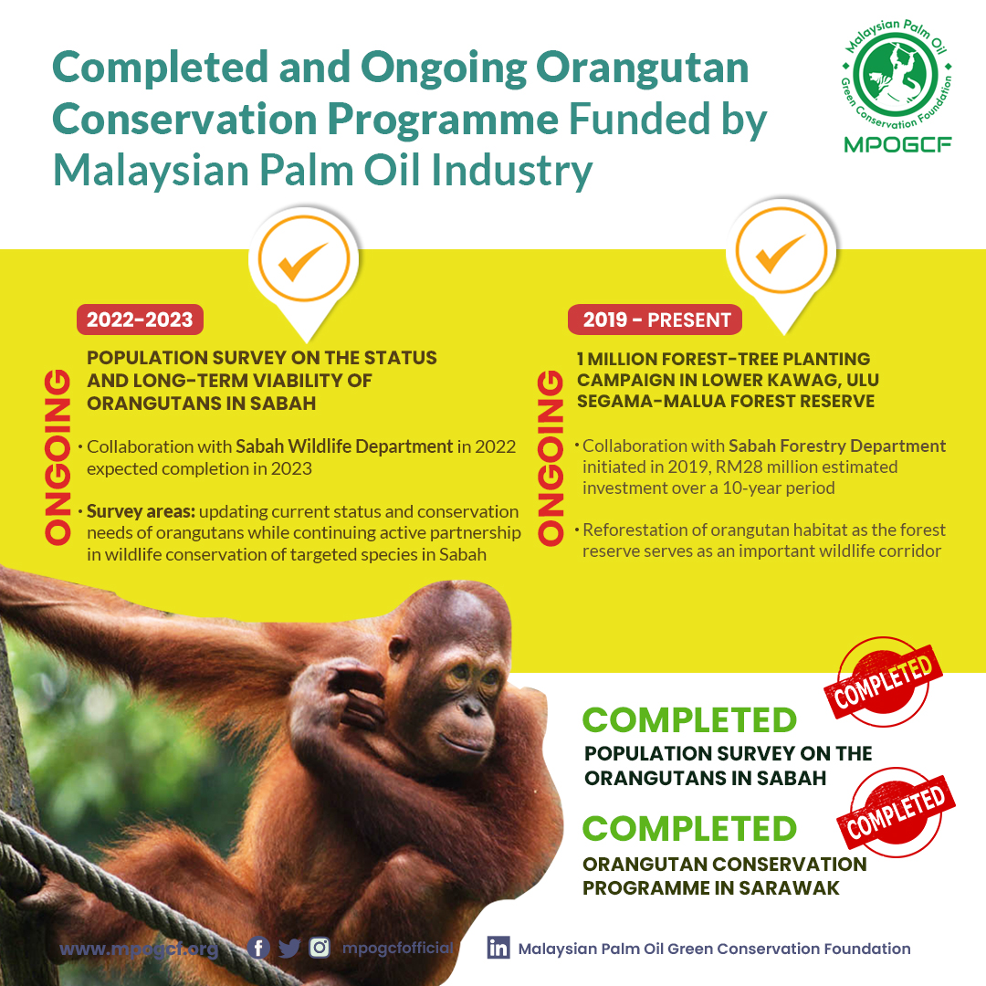 Completed & Ongoing Orangutan Conservation Programme Funded by Malaysian Palm Oil Industry