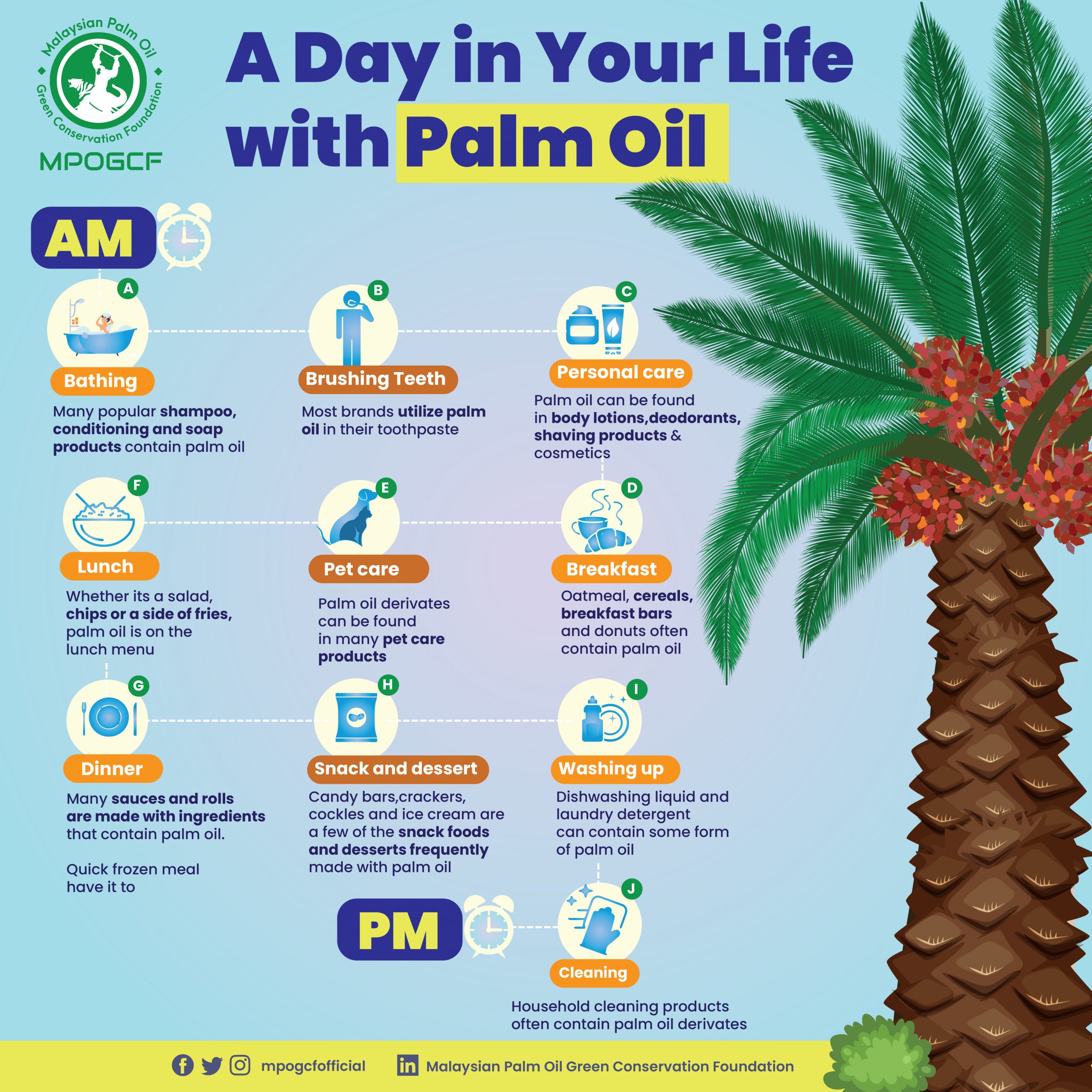 A Day in Your Life with Palm Oil