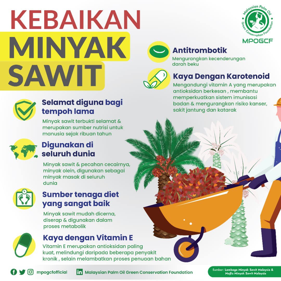 Kebaikan Minyak Sawit