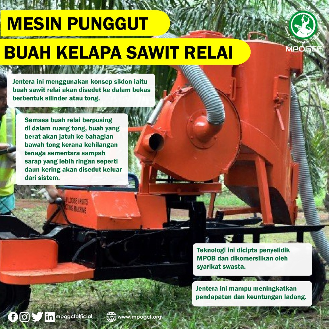 Mesin Pungut Buah Kelapa Sawit Relai