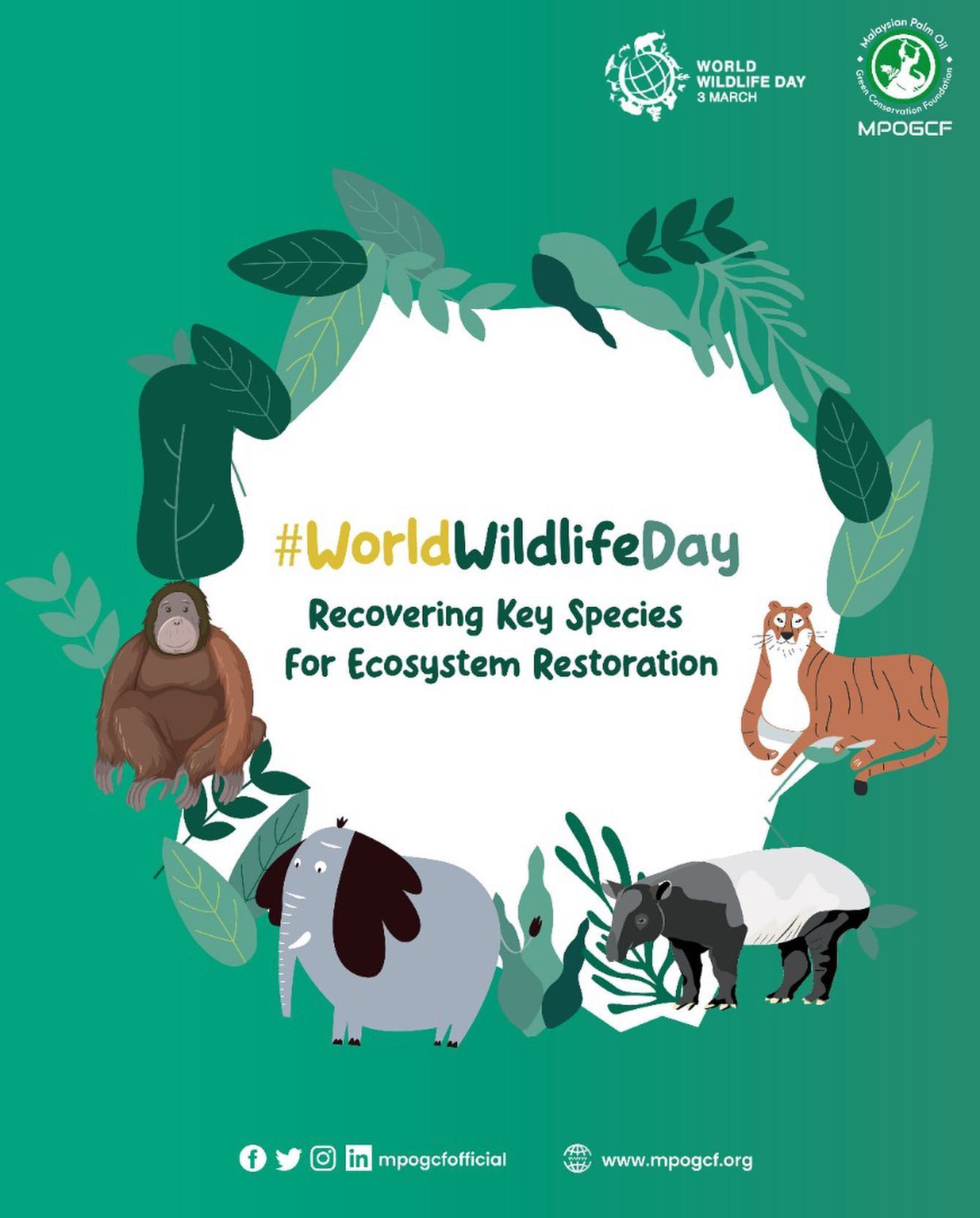 World Wildlife Day