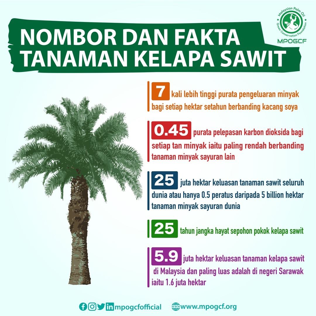 Nombor dan Fakta Tanaman Kelapa Sawit