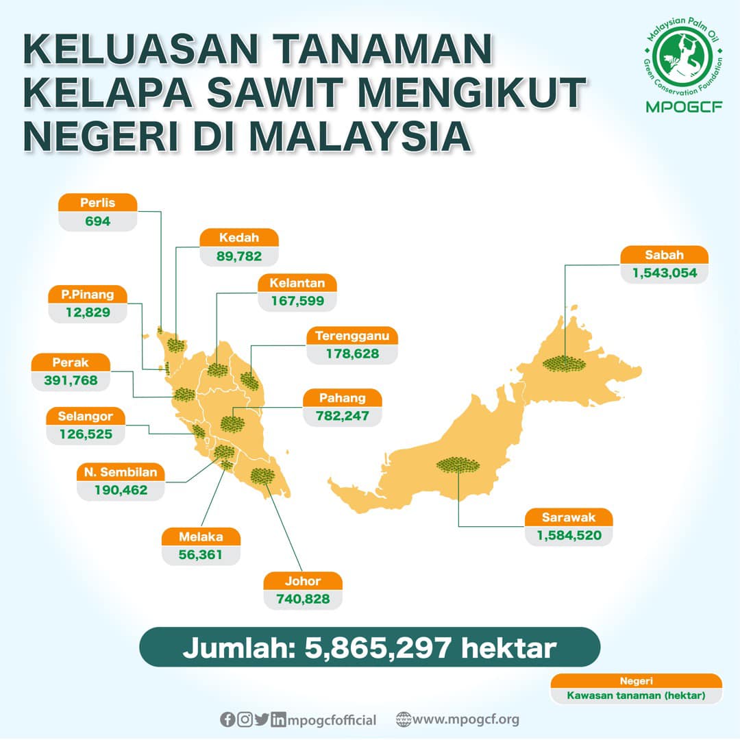 Keluasan Tanaman Sawit mengikut Negeri Di Malaysia