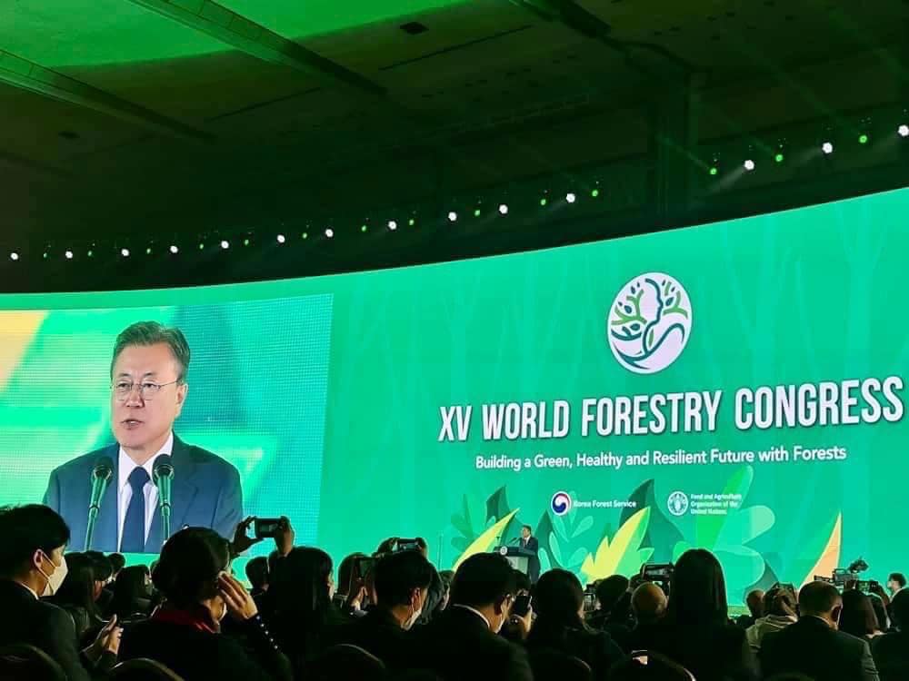 MPOGCF sertai Kongres Perhutanan Sedunia di Korea Selatan