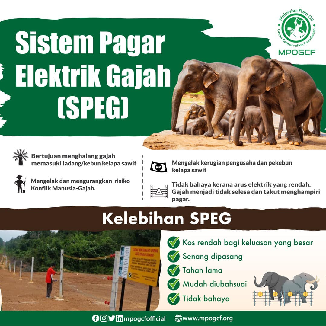 Sistem Pagar Elektrik Gajah (SPEG)