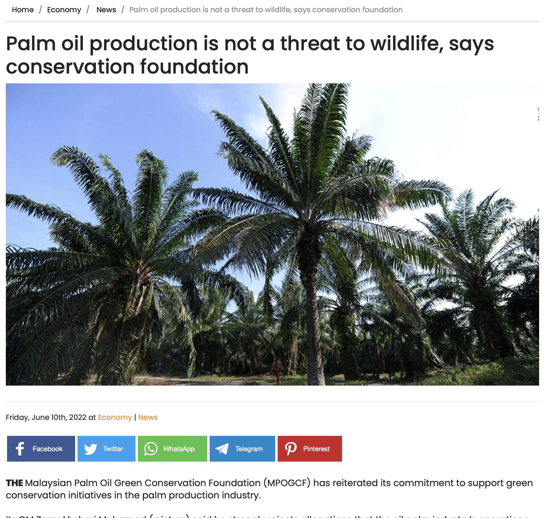 Palm oil production is not a threat to wildlife, says conservation foundation
