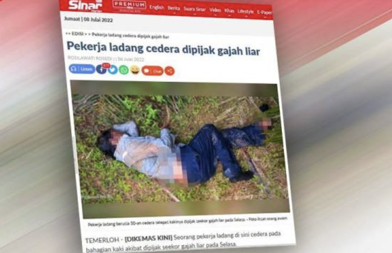 Pekerja ladang dipijak gajah maut ketika terima rawatan