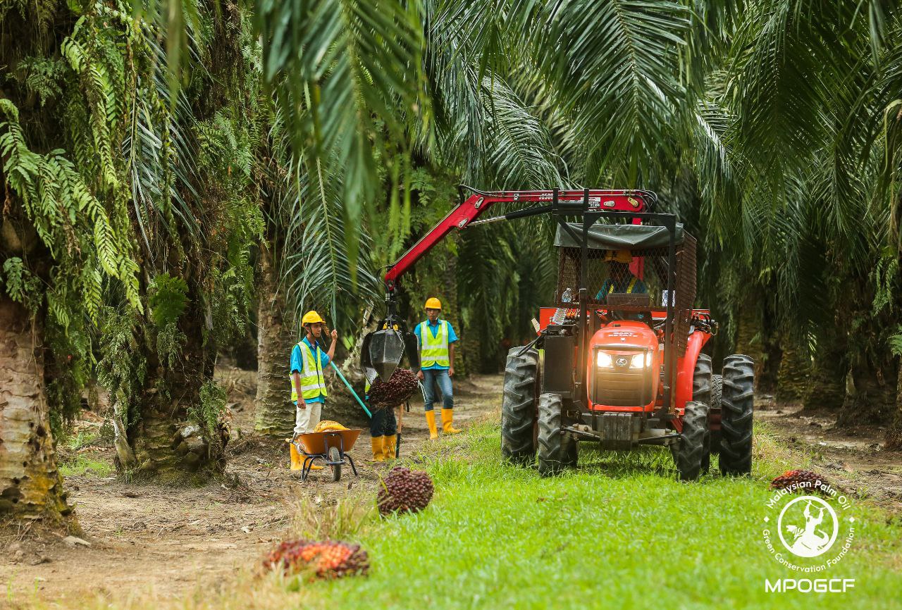 PROGRAM ” THE BIG AND GRAND PLANTATION FUTURE 24 ANJURAN SIME DARBY PLANTATION ECOGARDENS