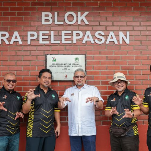 Mpogcf Malaysian Palm Oil Green Conservation Foundation Mpogcf