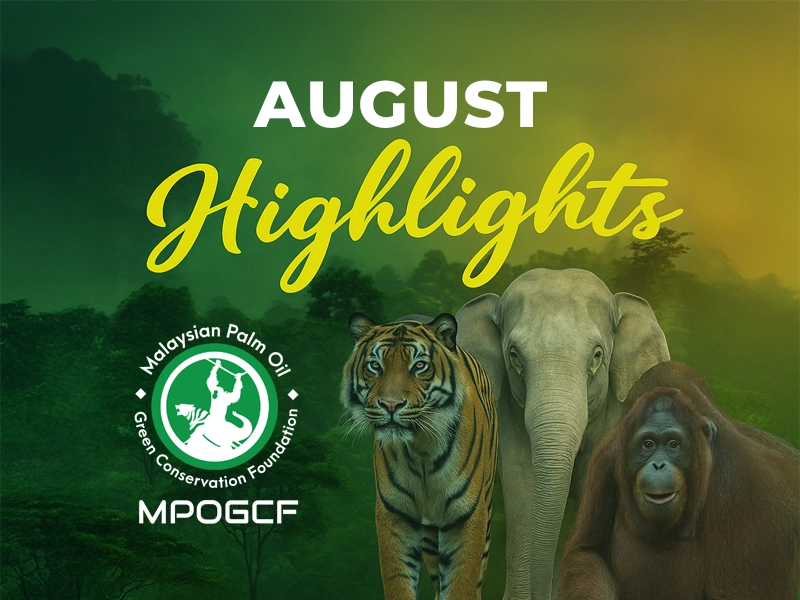 August Highlights