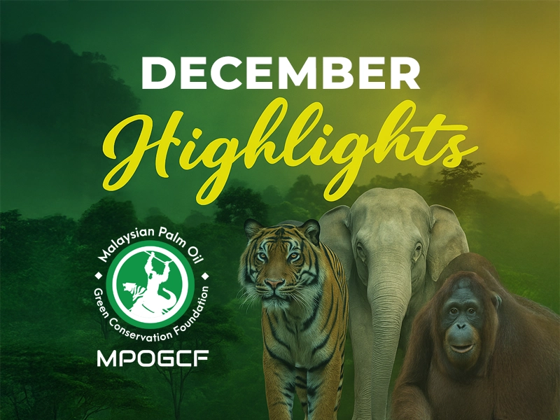 December Highlights