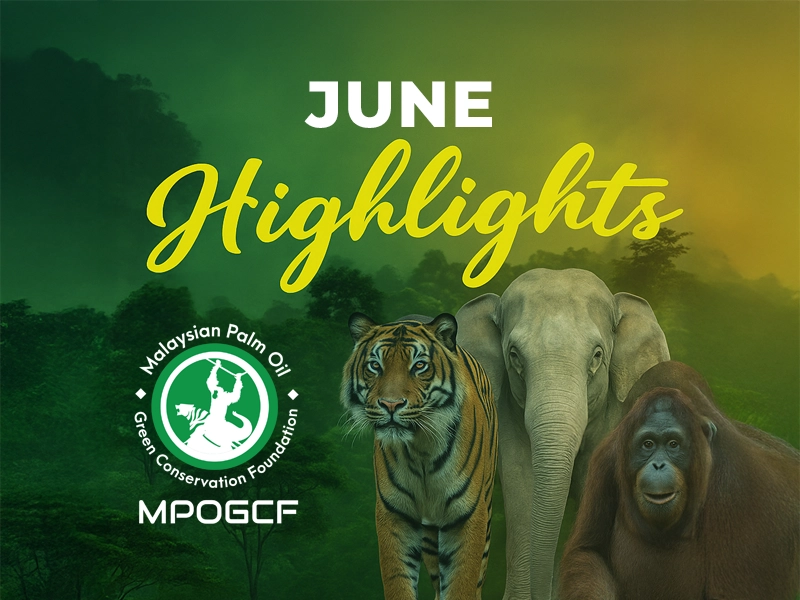 June Highlights