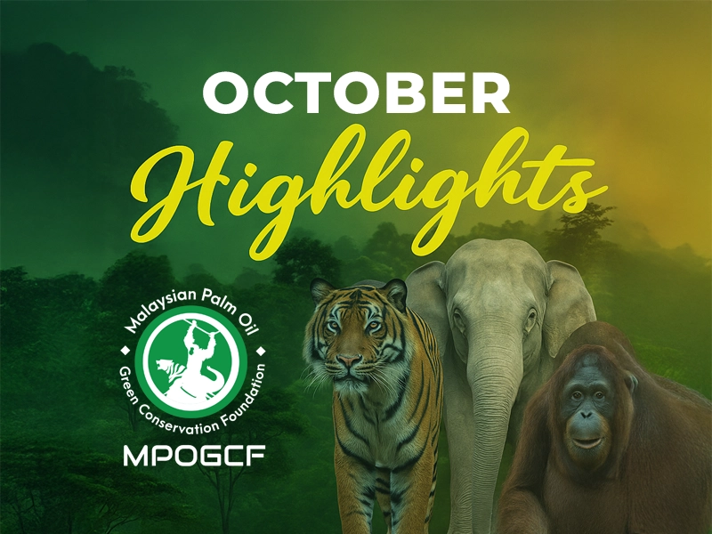 October Highlights