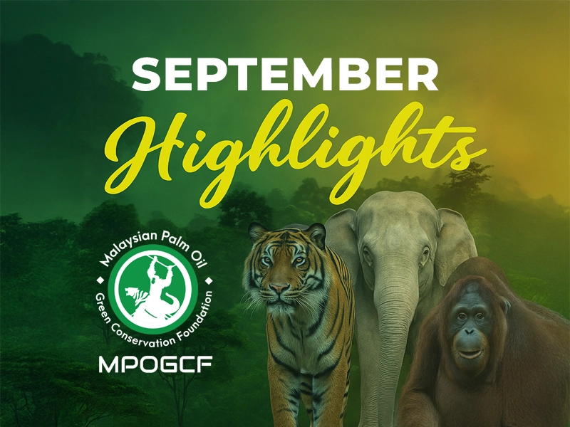 September Highlights