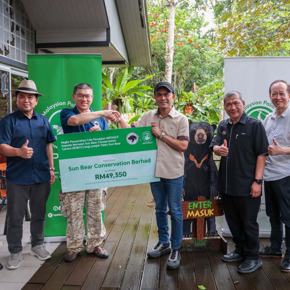 Mpogcf Malaysian Palm Oil Green Conservation Foundation Mpogcf