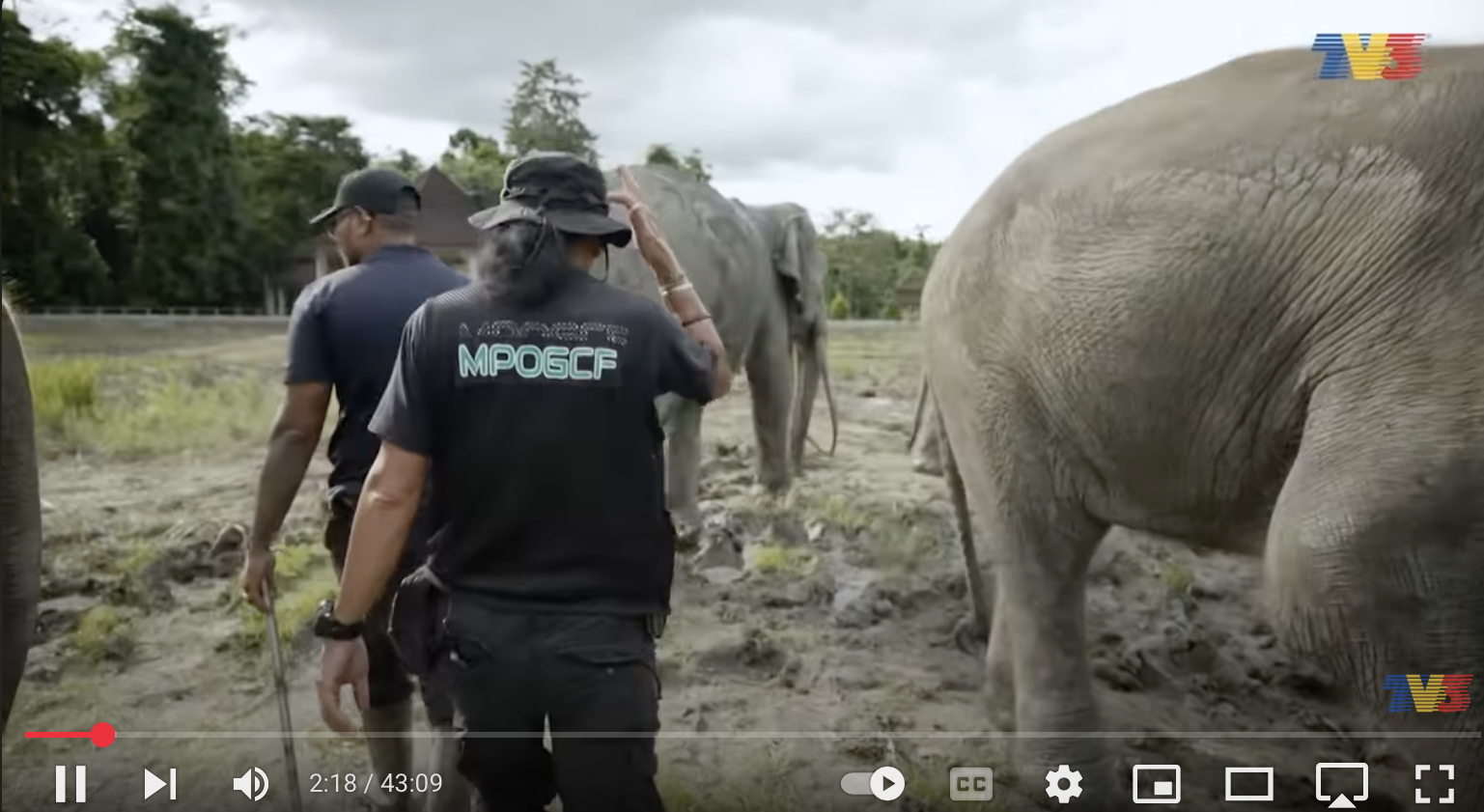 [FULL] Majalah 3 (2025) | Teman Rimba Kekal Terpelihara