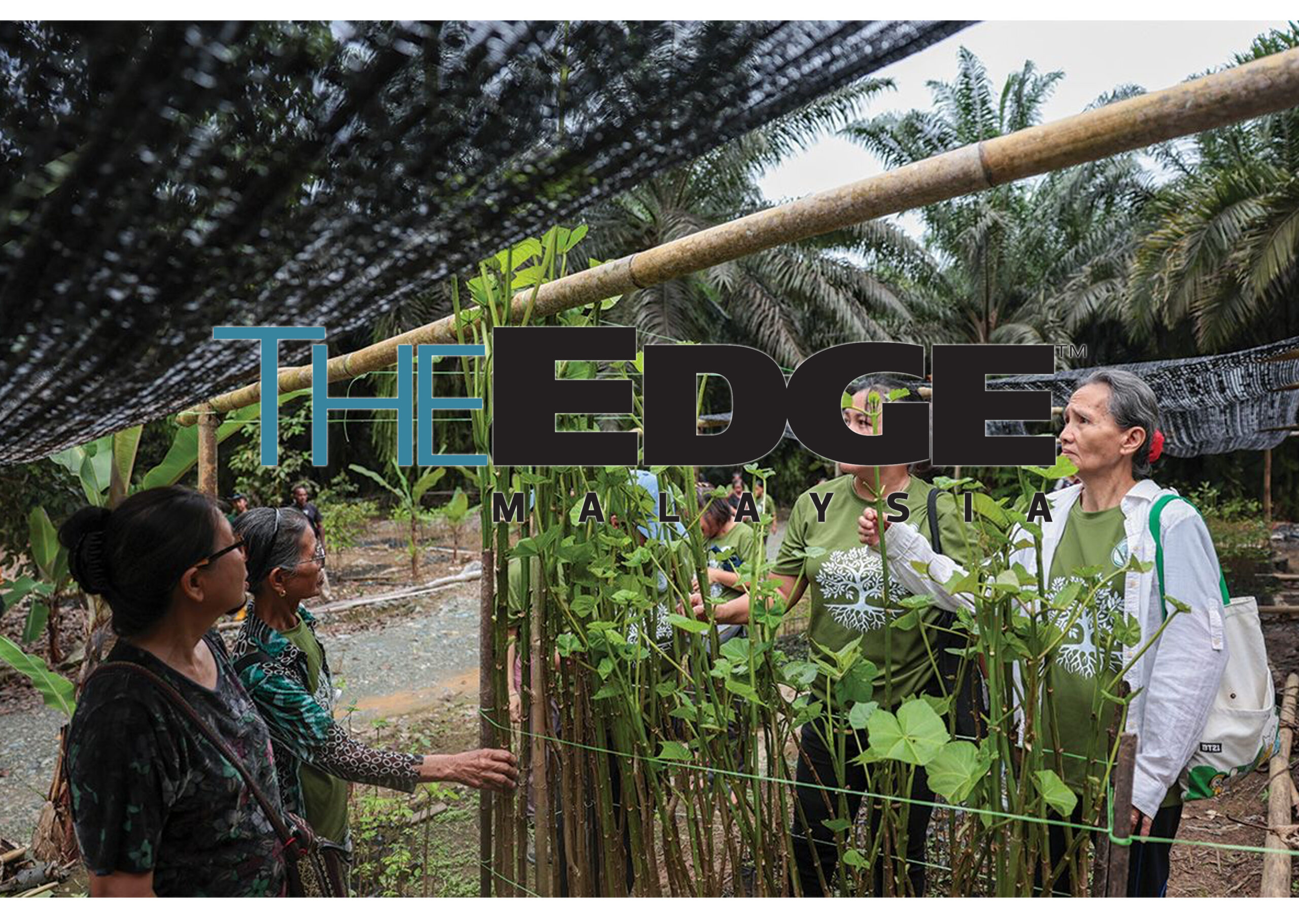 MPOGCF: Leading Palm Oil Green Conservation in Malaysia