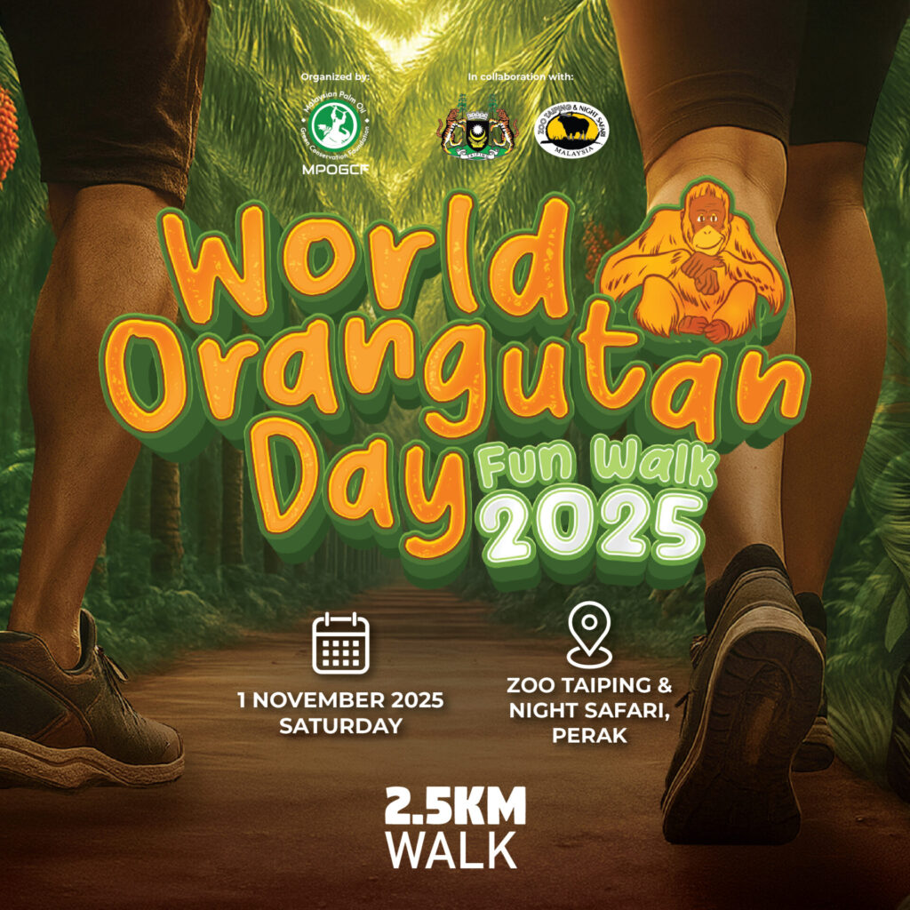 POSTER SOCMED 2025-01