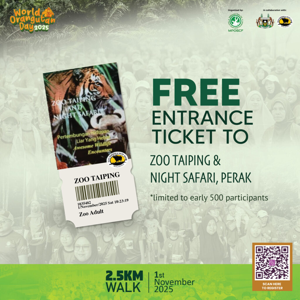 POSTER SOCMED 2025-04