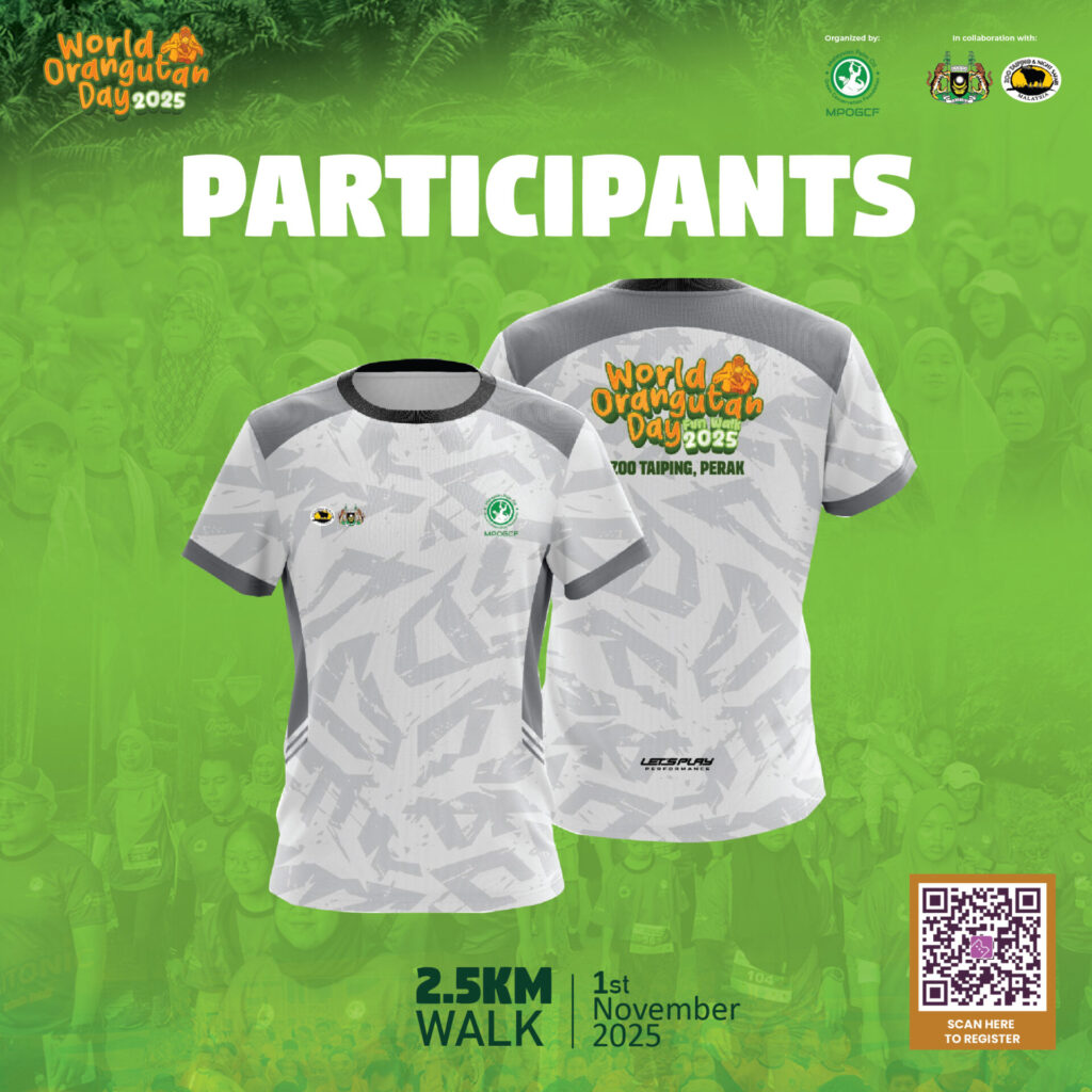 POSTER SOCMED 2025-05