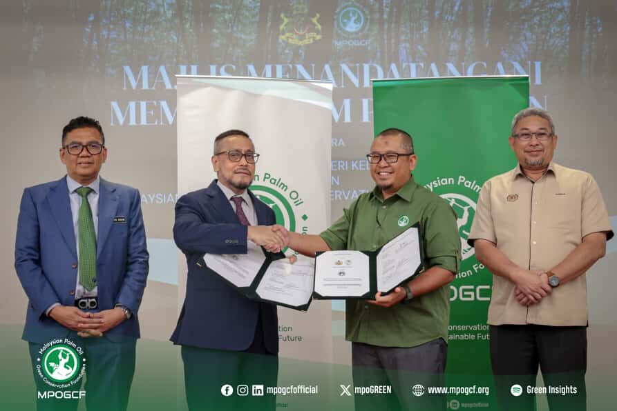 MPOGCF, KERAJAAN NEGERI KELANTAN JALIN KERJASAMA PULIHARA HUTAN DAN BIODIVERSITI