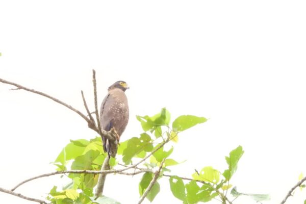 571026208_1134490885543985_8850890602733991348_n