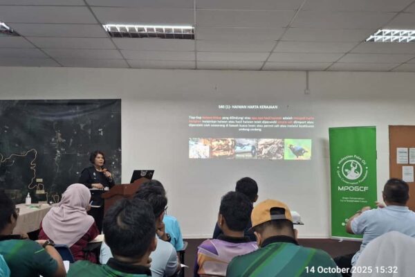 571120338_1134491592210581_5084783433511070238_n