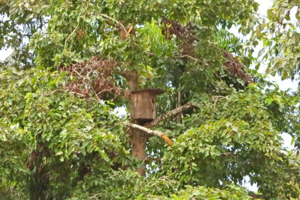 571134303_1134491058877301_5757134781022182968_n