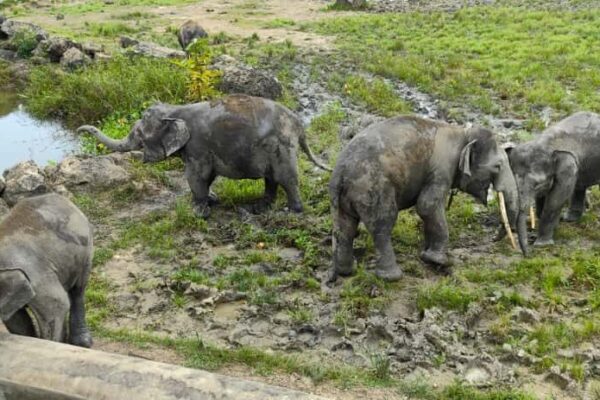 571190177_1134491232210617_3255905049741514259_n