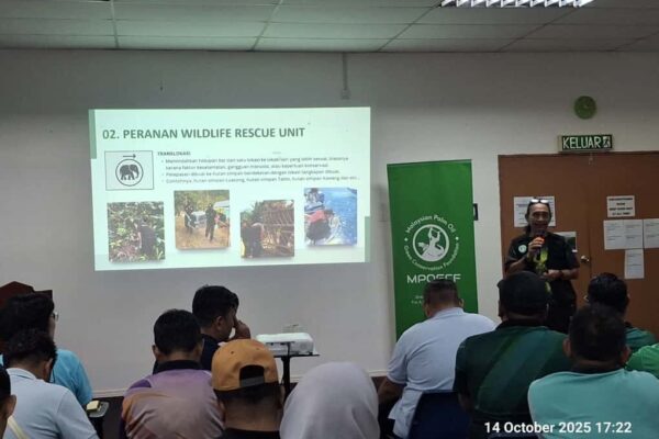 571268721_1134491525543921_6268690116094768687_n