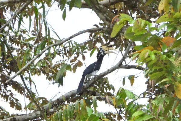 571335764_1134491368877270_4686147739527360238_n