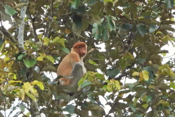 571438137_1134490892210651_5755284795747589429_n