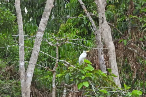 573967555_1134491032210637_6690900886902103359_n