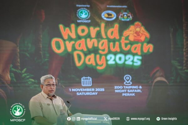 574261915_1139045338421873_2863602826695330345_n