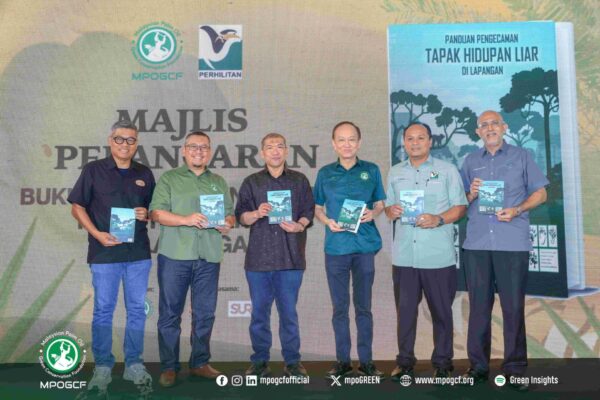 588963868_1155757640083976_6967720670640598770_n