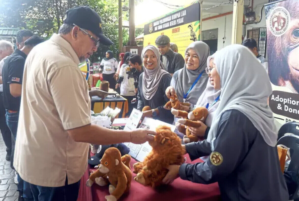 Orang utan conservation, a national responsibility