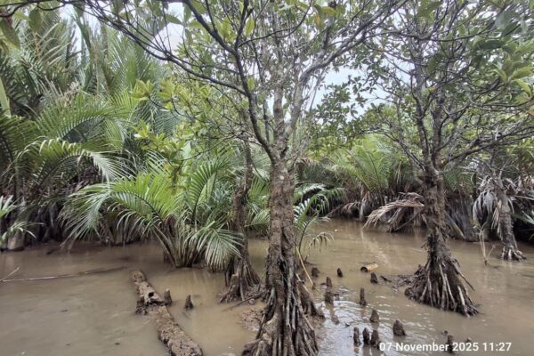 590410136_1157369206589486_3878279510443429144_n