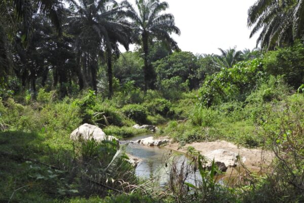 599462026_1172964995029907_158436933911348299_n