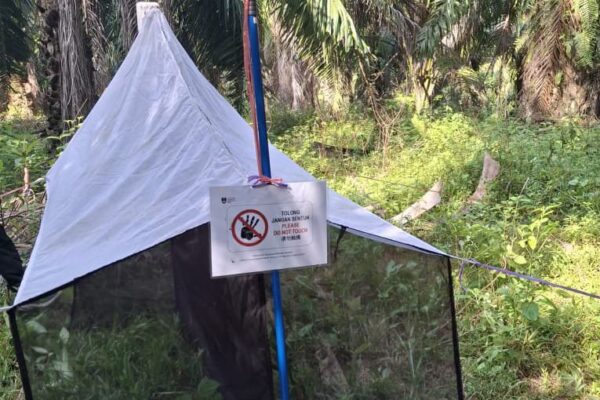 599592211_1172965148363225_5296339680738149722_n