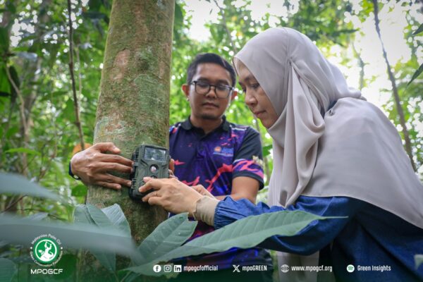 616830427_1198323885827351_870411470209396724_n