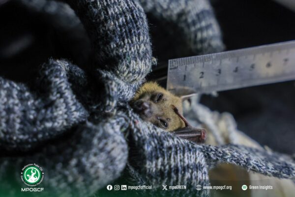 622780525_1206401915019548_673874254607685495_n