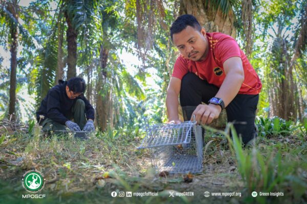 623226705_1206402048352868_5407339533533617699_n