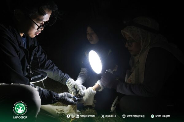 624801687_1206401671686239_94515087091700485_n