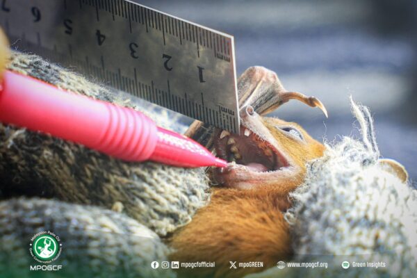 624975416_1206401285019611_6019459638106859554_n