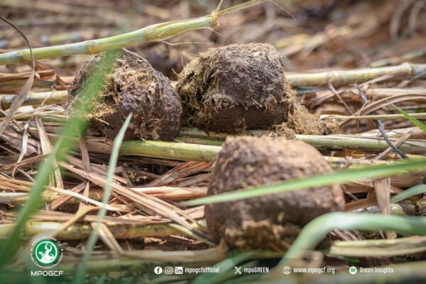 629755963_18069863702560608_7462642581021680759_n