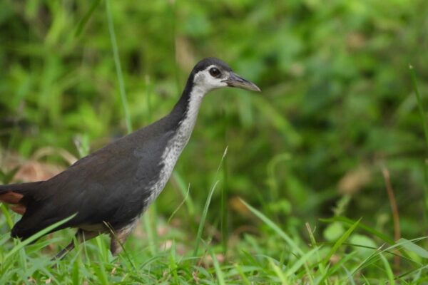 630026424_18069864101560608_3200717173149475138_n