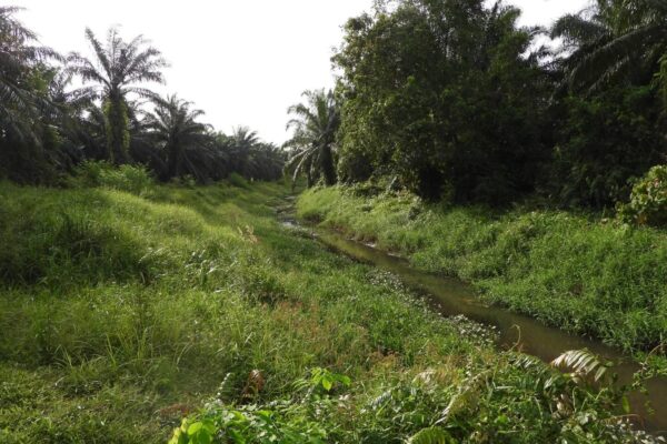 630112198_18069864119560608_5395719585584223460_n