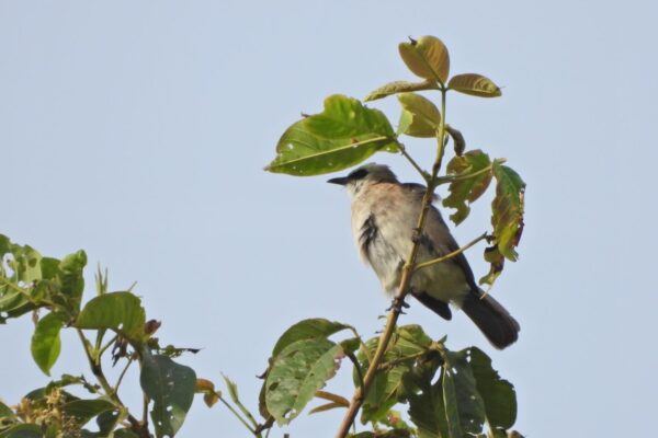 630173286_18069864026560608_1503289640648624091_n