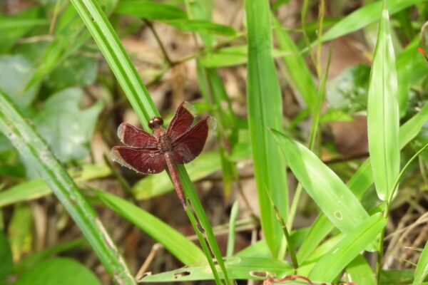 632503116_18069864062560608_2177009866768561705_n